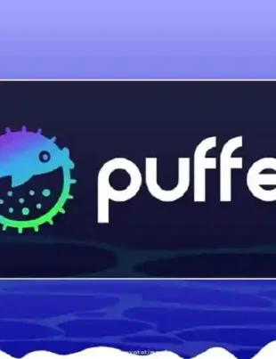 Puffer Finance